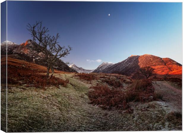 Dawn's Early Light in Glen Sannox Canvas Print by David Brookens