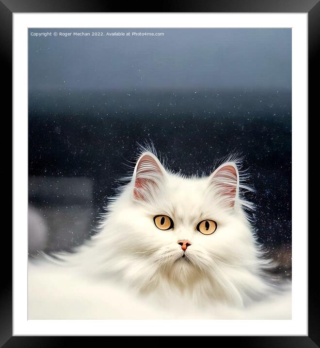 Blooming White Persian Cat Framed Mounted Print by Roger Mechan