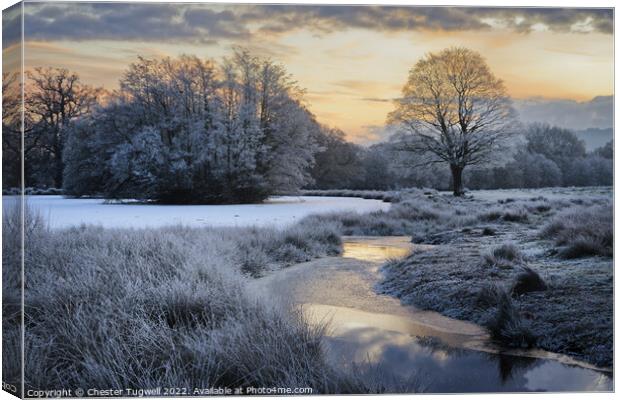 Wintery Morning at Petworth Park Canvas Print by Chester Tugwell