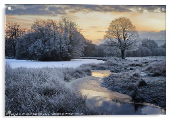 Wintery Morning at Petworth Park Acrylic by Chester Tugwell