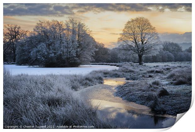 Wintery Morning at Petworth Park Print by Chester Tugwell