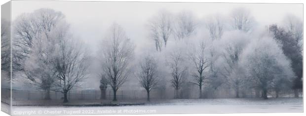 Frost Covered Tree in Petworth Park Canvas Print by Chester Tugwell