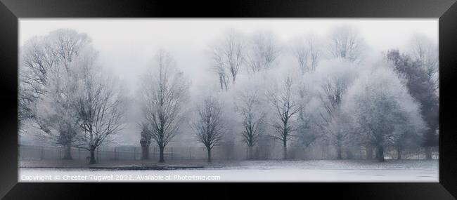 Frost Covered Tree in Petworth Park Framed Print by Chester Tugwell
