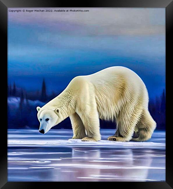 Arctic Majesty Framed Print by Roger Mechan