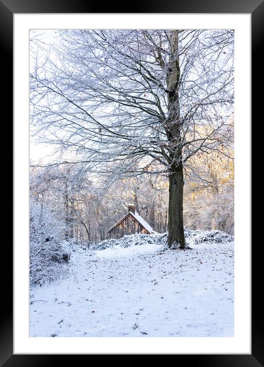 Cabin in the Woods Framed Mounted Print by Graham Custance