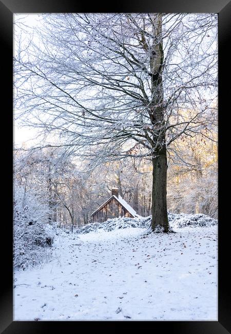 Cabin in the Woods Framed Print by Graham Custance