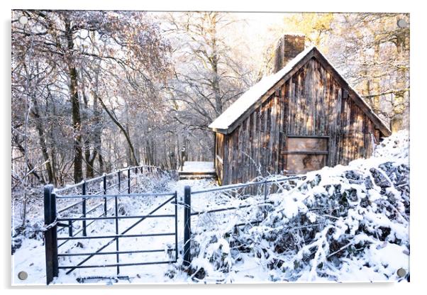 Cabin in the Woods Acrylic by Graham Custance