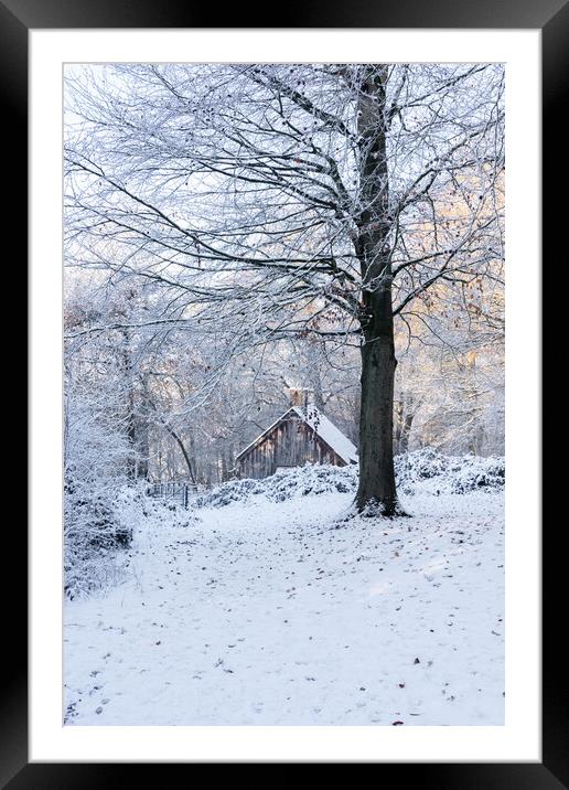 Cabin in the Woods  Framed Mounted Print by Graham Custance