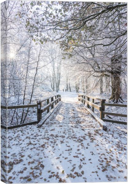 Tranquil Ashridge Forest Bridge in Winter Canvas Print by Graham Custance