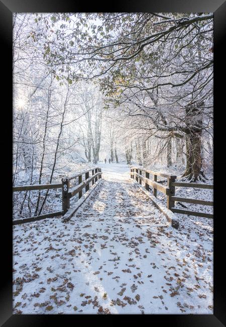 Tranquil Ashridge Forest Bridge in Winter Framed Print by Graham Custance