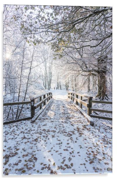 Tranquil Ashridge Forest Bridge in Winter Acrylic by Graham Custance