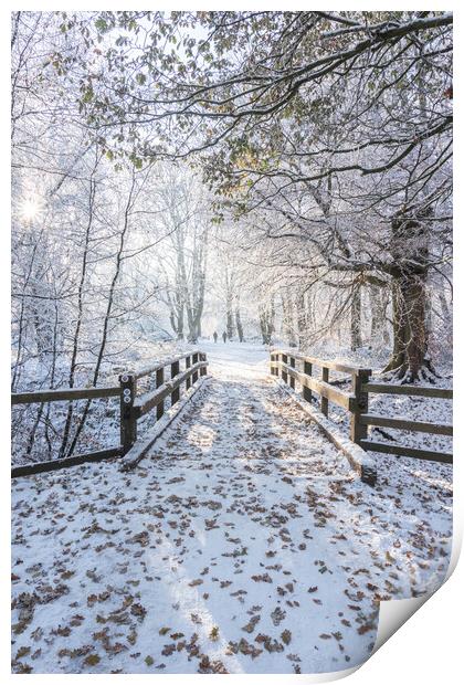 Tranquil Ashridge Forest Bridge in Winter Print by Graham Custance