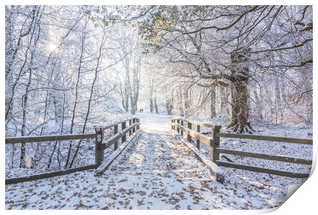 Ashridge in Winter Print by Graham Custance