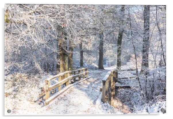 Ashridge in Winter Acrylic by Graham Custance