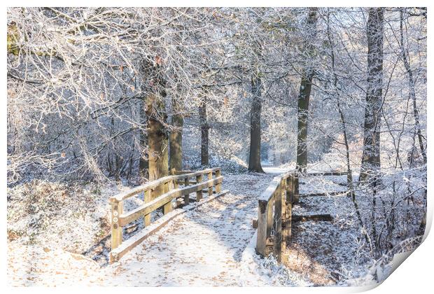 Ashridge in Winter Print by Graham Custance