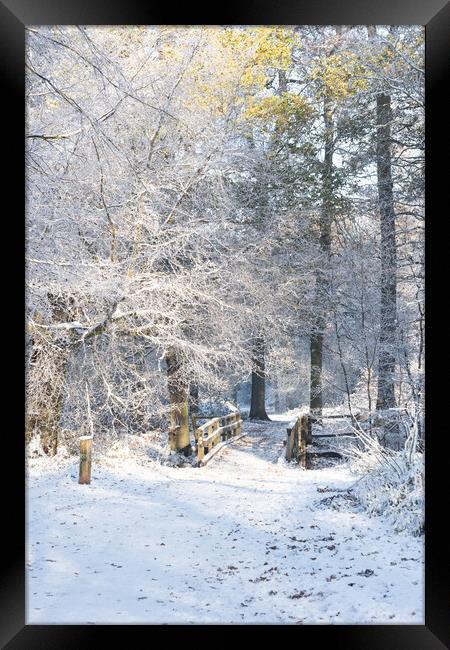 Ashridge in Winter Framed Print by Graham Custance