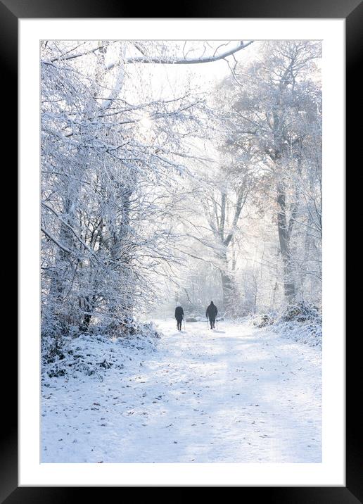 Ashridge in Winter  Framed Mounted Print by Graham Custance