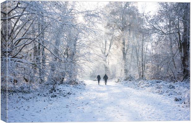 Ashridge in Winter  Canvas Print by Graham Custance