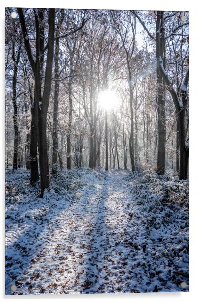 Ashridge in Winter  Acrylic by Graham Custance