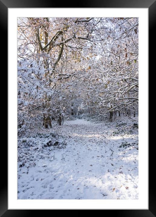 Ashridge in Winter  Framed Mounted Print by Graham Custance