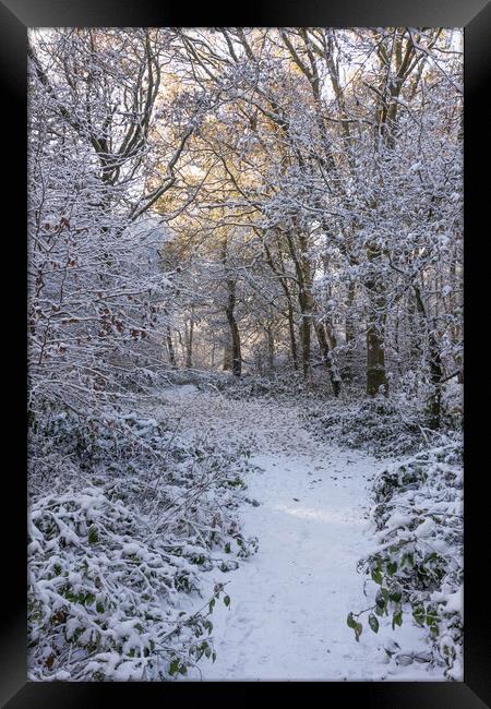 Serene Winter Wonderland at Ashridge Framed Print by Graham Custance