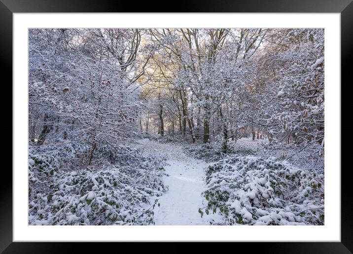 Winter Wonderland at Ashridge Framed Mounted Print by Graham Custance