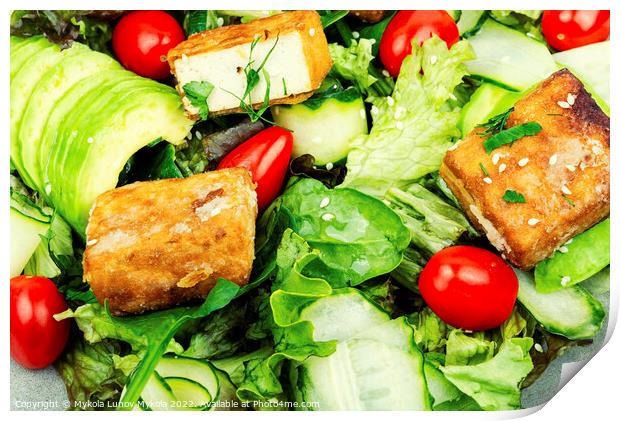 Fresh salad of fried tofu and fresh vegetables. Print by Mykola Lunov Mykola