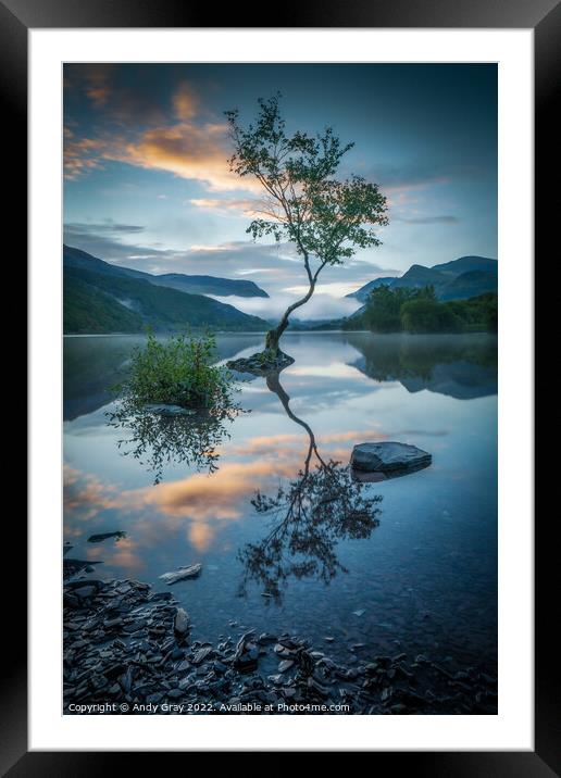 Lyn Padarn Lone Tree Framed Mounted Print by Andy Gray
