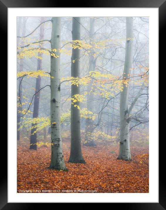 Enchanted Forest Framed Mounted Print by Rick Bowden