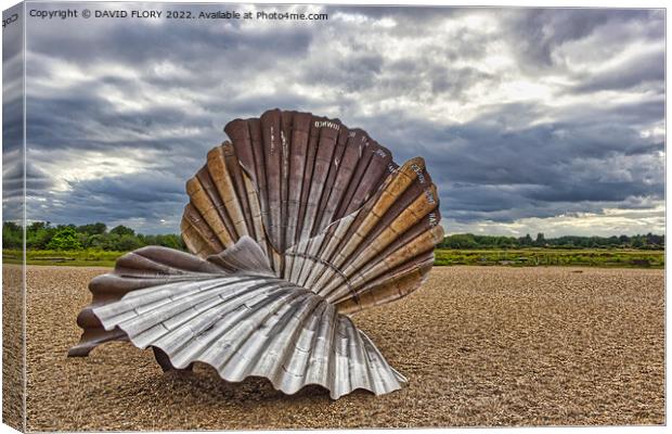 The Scallop Canvas Print by DAVID FLORY