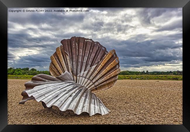The Scallop Framed Print by DAVID FLORY