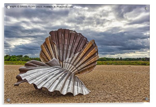 The Scallop Acrylic by DAVID FLORY