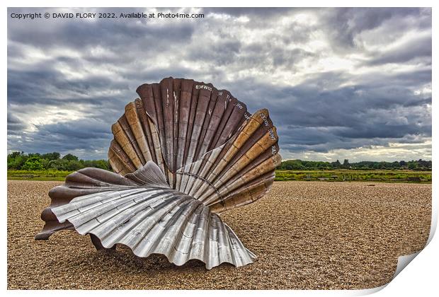The Scallop Print by DAVID FLORY