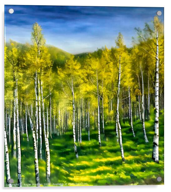 Silver Birch Forest in Autumn Acrylic by Roger Mechan