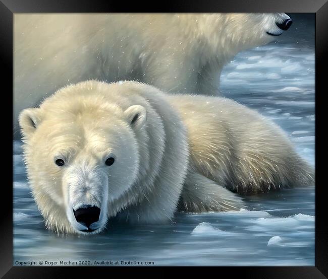 Arctic Predator's Swim Framed Print by Roger Mechan
