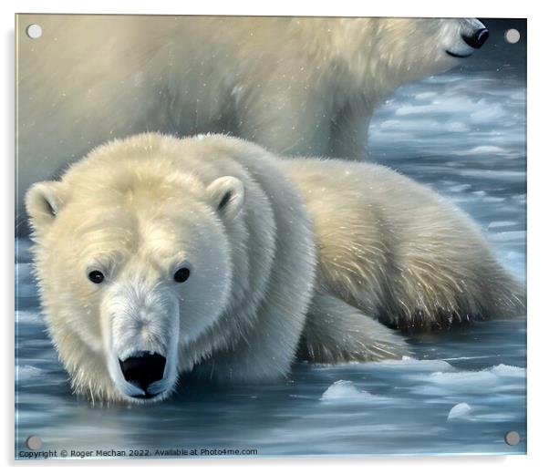 Arctic Predator's Swim Acrylic by Roger Mechan