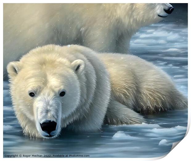 Arctic Predator's Swim Print by Roger Mechan