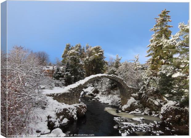 Sun and snow at Carrbridge Canvas Print by Thelma Blewitt