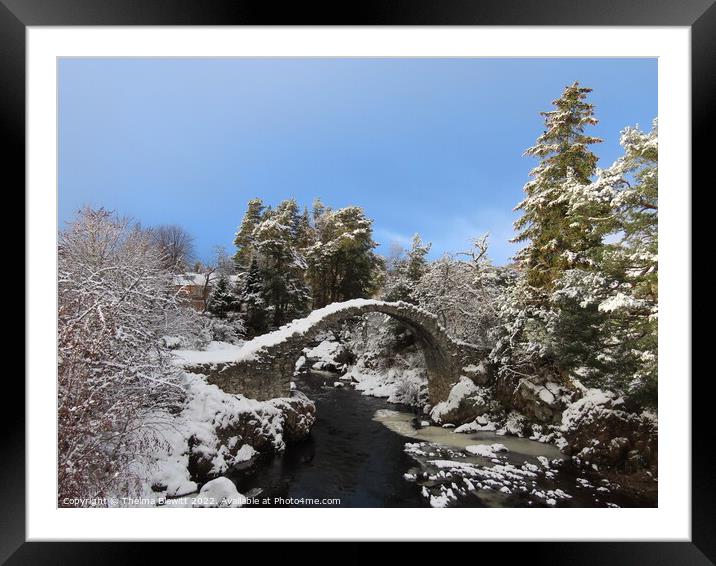 Sun and snow at Carrbridge Framed Mounted Print by Thelma Blewitt