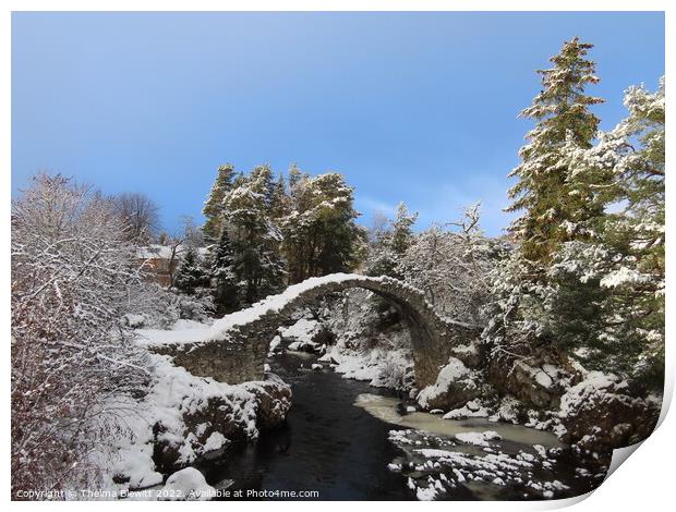 Sun and snow at Carrbridge Print by Thelma Blewitt