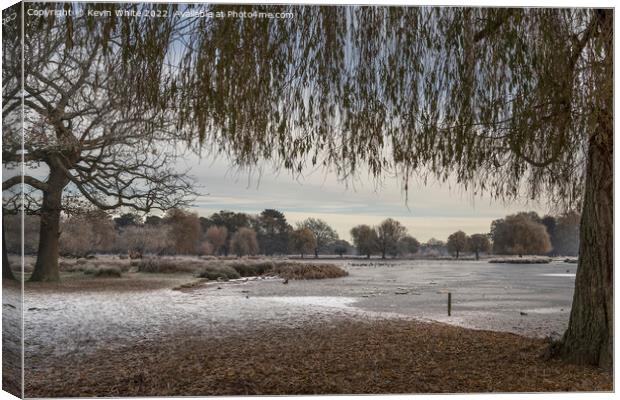 Christmas time at Bushy Park Canvas Print by Kevin White
