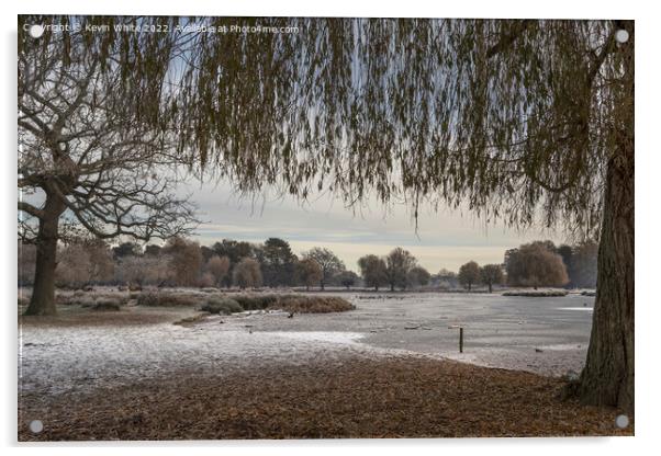 Christmas time at Bushy Park Acrylic by Kevin White