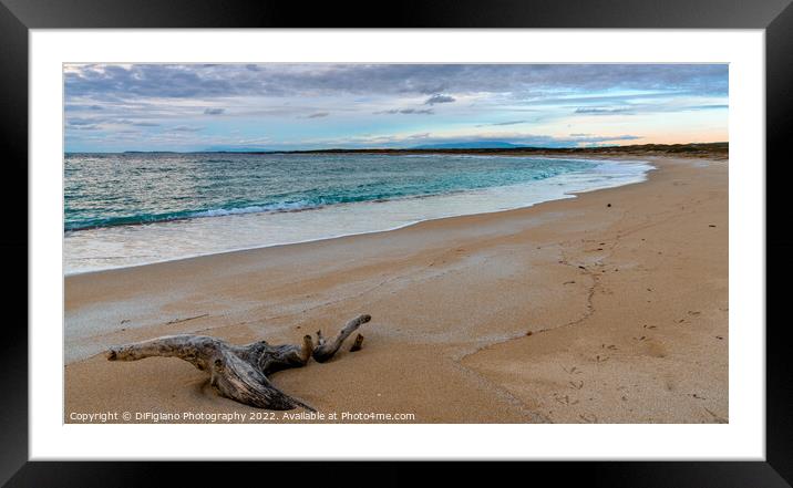 Maimoni Driftwood Framed Mounted Print by DiFigiano Photography