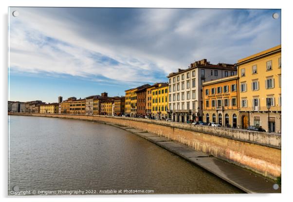 Pisa Riverfront Acrylic by DiFigiano Photography