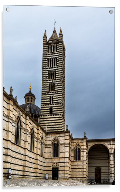 Duomo di Siena Acrylic by DiFigiano Photography