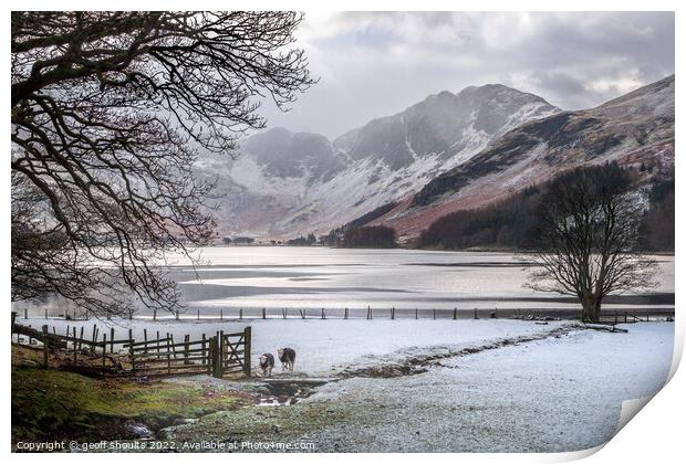 Buttermere Winter's Morning Print by geoff shoults