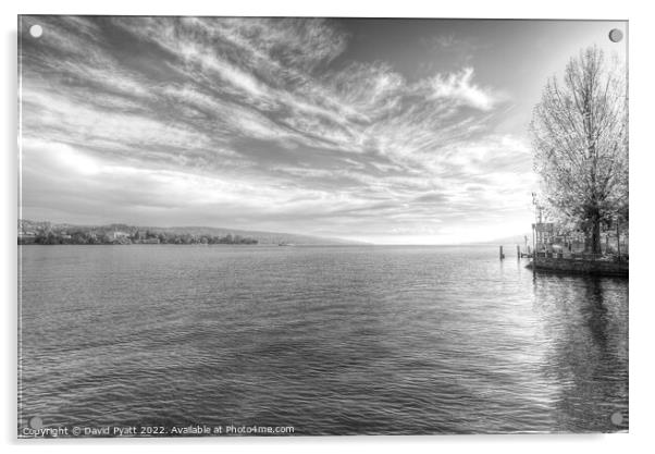 Lake Zurich Monochrome Acrylic by David Pyatt