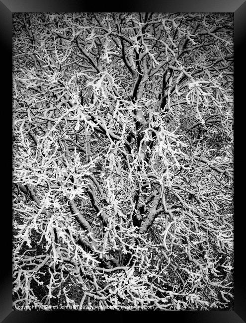 Hoar Frost Framed Print by Simon Johnson