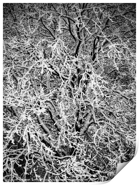 Hoar Frost Print by Simon Johnson