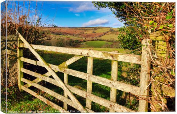 Rustic Charm A Weathered Wooden Gate Canvas Print by Stephen Hamer